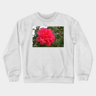 Camellia Crewneck Sweatshirt